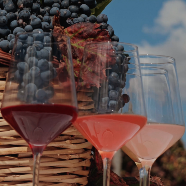 Vini di ogni tipo Cantina Tre Santi