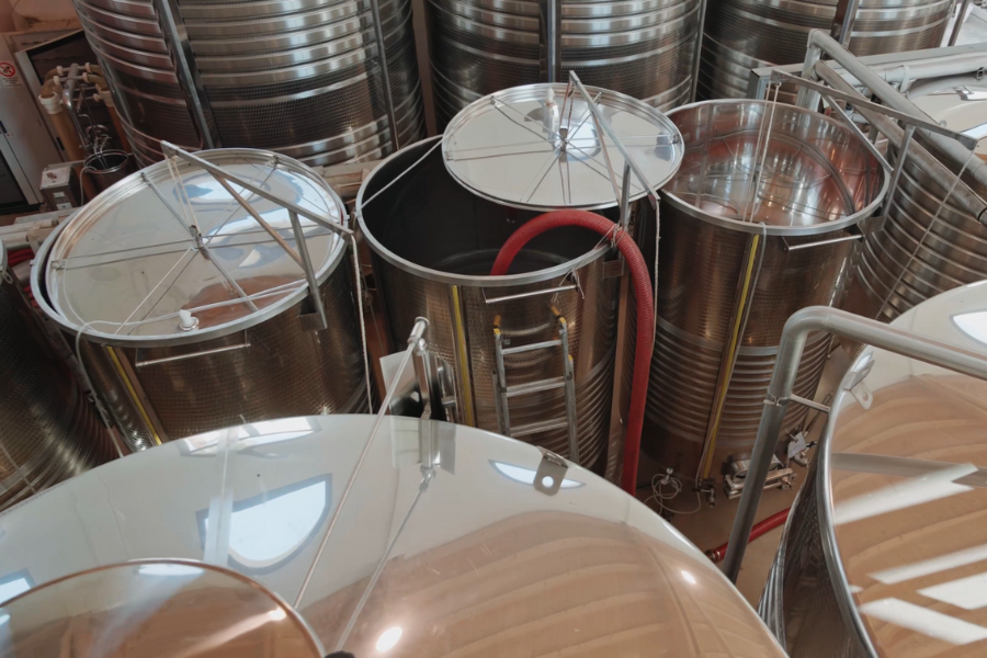 Interno della cantina Tre Santi durante la lavorazione del vino